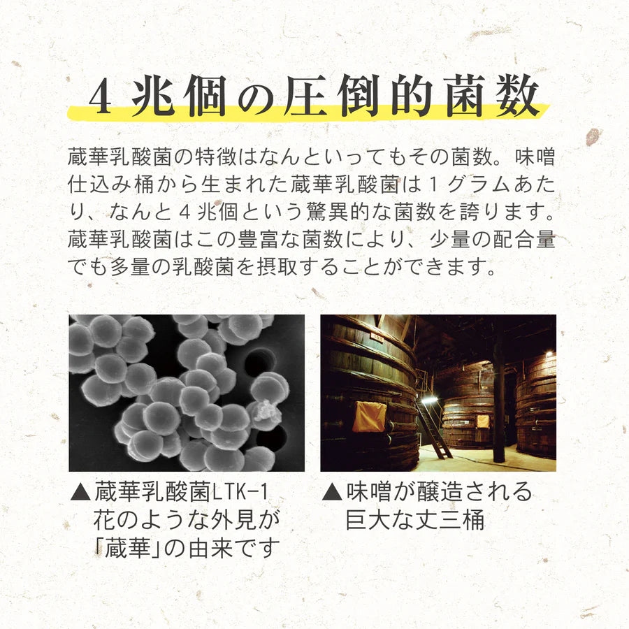 蔵華乳酸菌 60粒